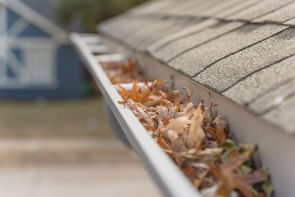Leaf Barrier Installation in Maryville